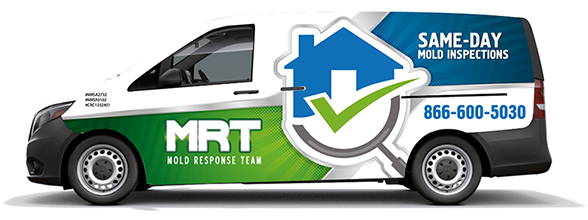 Mold Inspection Boca Raton