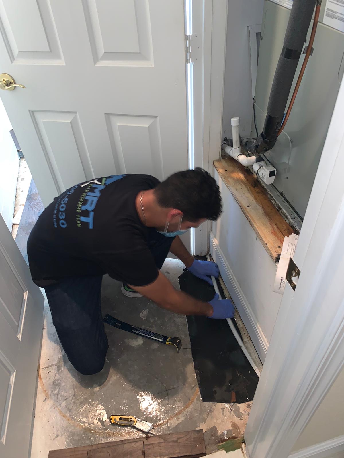 MRT certified mold inspector on site 2025