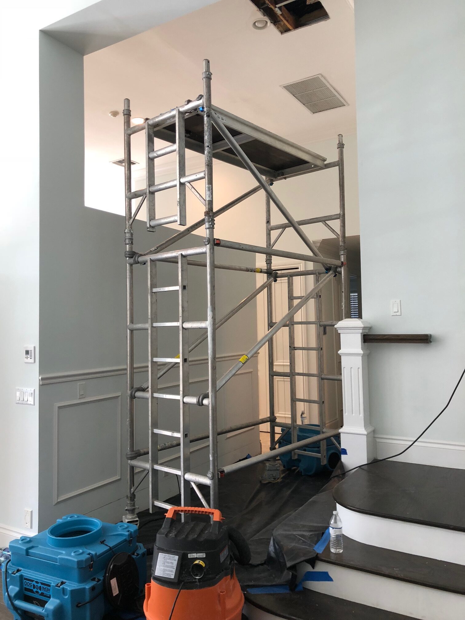 Close-up mold inspection process Florida